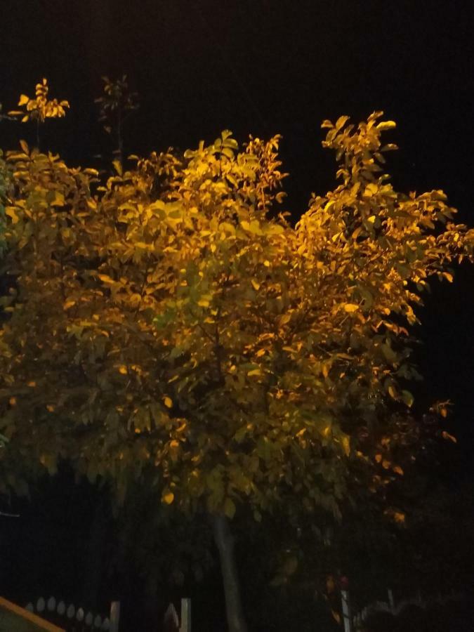 - Przy Porcie Homestay *